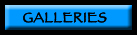 galleries button
